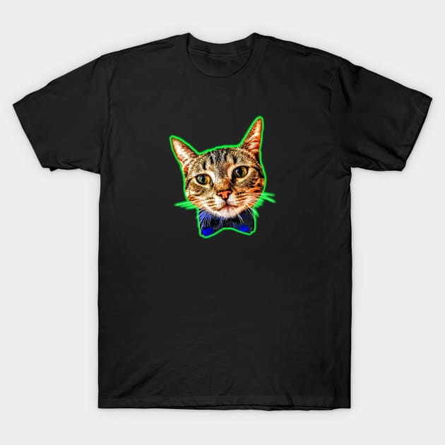 Dapper Cat T-Shirt by WillMcWill